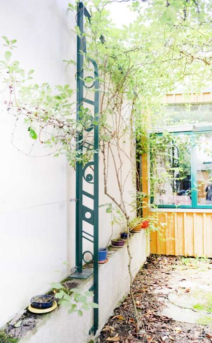 support pergola végétale en fer forgé